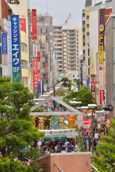 DSC_4012 (Large).JPG